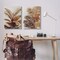 Stupell Industries Brown Tropical Palm Plants 2pc Canvas Wall Art Set Design by Jacob Q